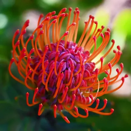 Latitudes 43 Apartament *