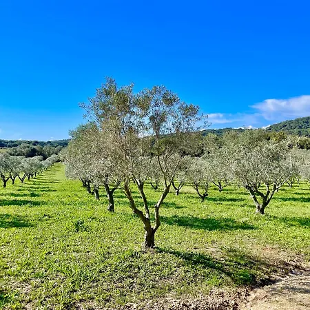 Latitudes 43 Apartament *