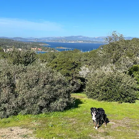 Apartament Latitudes 43 *