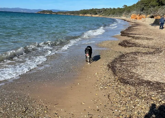 Lägenhet Latitudes 43 Porquerolles